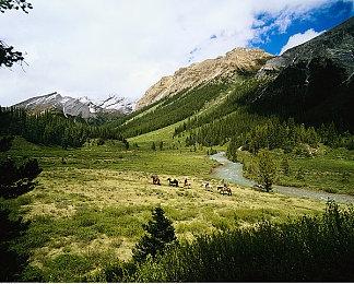 《海岛大亨6》 - 次世代版现已推出