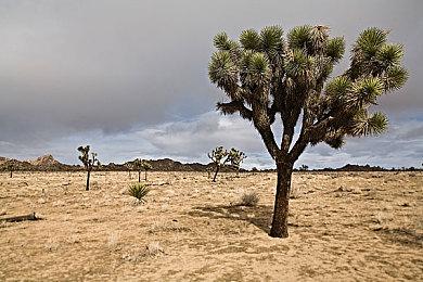 主机缺货太严重 微软《光环》比赛选手只能用开发机