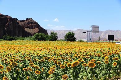 电影改编游戏《鬼玩人》跳票至2022年2月推出