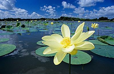 Epic喜加一：《德军总部：新秩序》免费领取